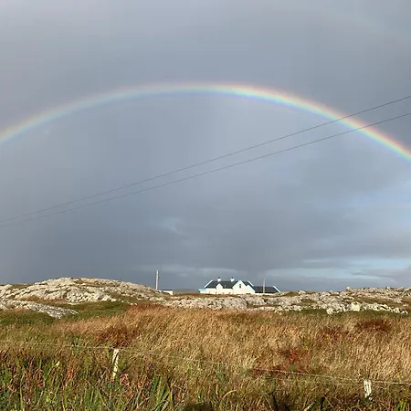 Aran Views Dog Island