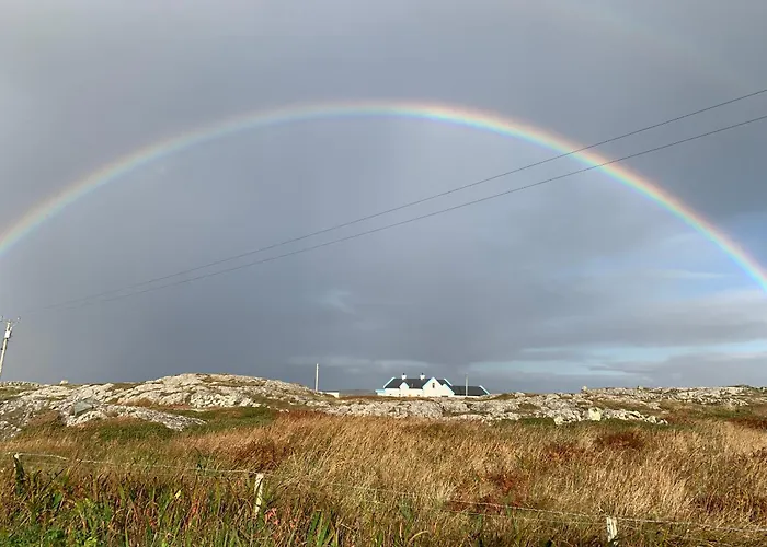 Aran Views Dog Island
